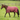 MHS Regendeken 0 gram Red Blocks
