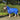 QHP Winterdeken turnout met hals 300gr Splash 90/60