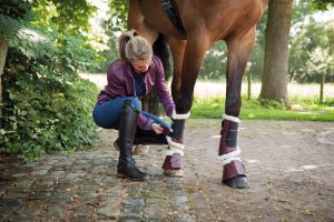 Protección de patas Caballo