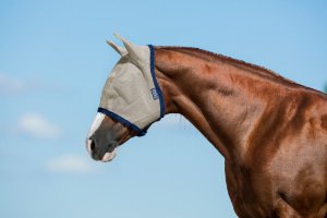 Máscaras y flecos antimoscas Caballo