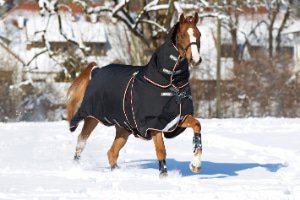 Mantas de invierno Caballo