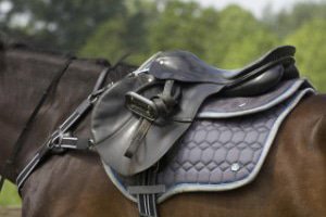 Sillas y accesorios para sillas Caballo