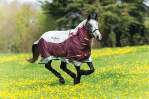 Mantas de verano Caballo