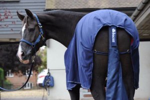 Accesorios para Mantas Caballo