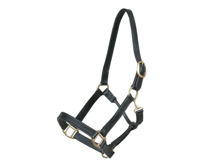 PFIFF Cabestro estable de cuero Pfiff main product photo