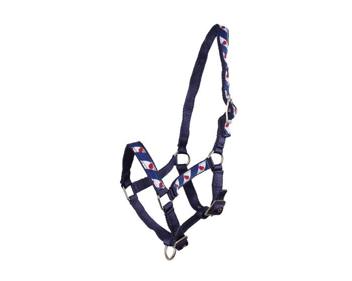 QHP Halter sin forro Frisian main product photo