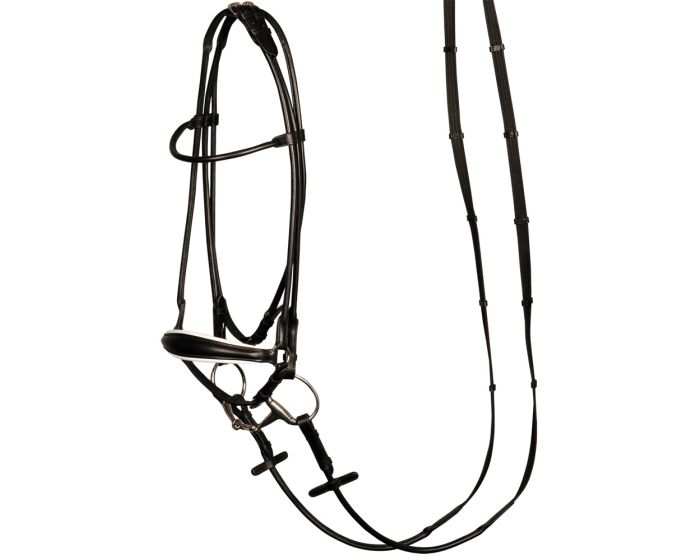 Brida de caballo de Harry cosida alrededor, banda baja en la nariz main product photo