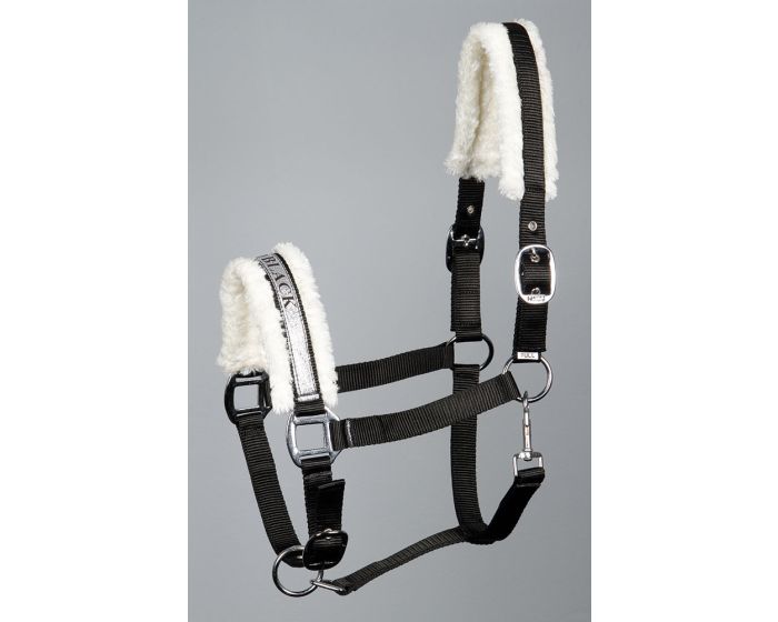 Harry's Horse Halter Lyrics III main product photo