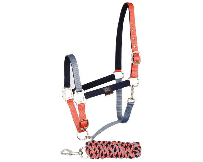 Harry Halter Horse Halter set LouLou WI18 main product photo