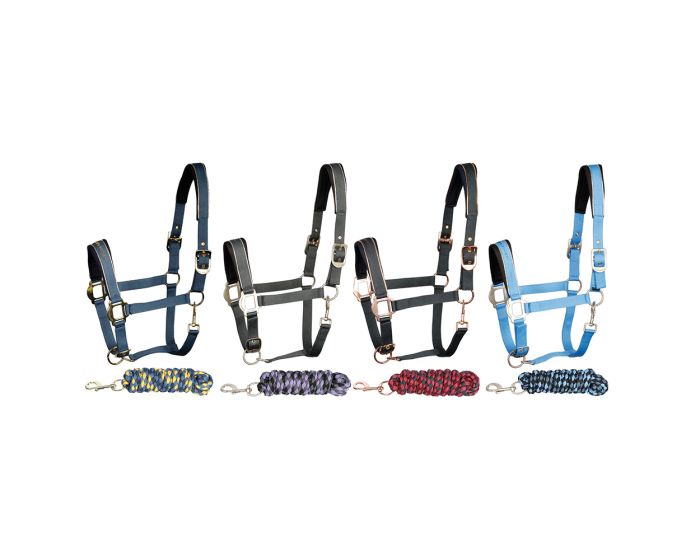 Harry’s Horse Cabestro Metallic 19 main product photo