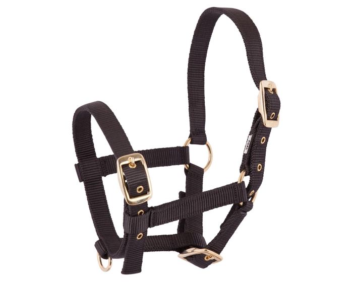 Estreno halter potro de nylon main product photo