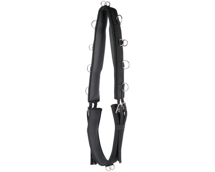 Harry's Horse Lunging Girth Luxury main product photo
