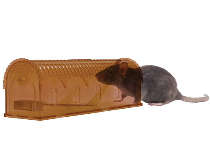 Knock Off Rat Trap Vivo main product photo