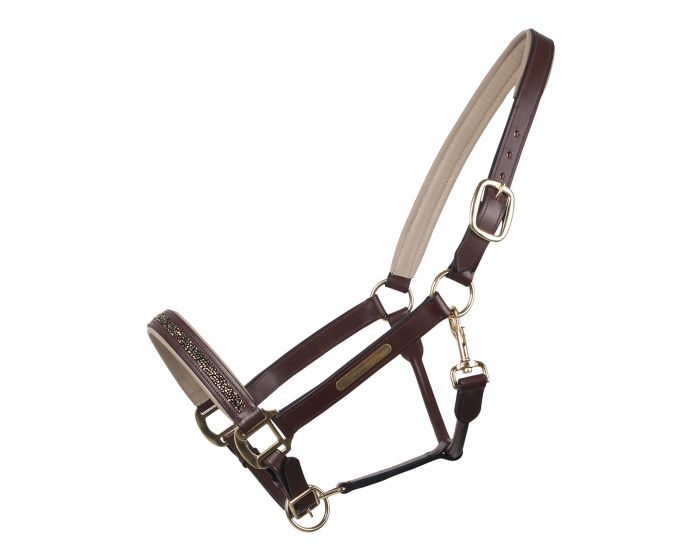 QHP Halter cuero Lupin main product photo