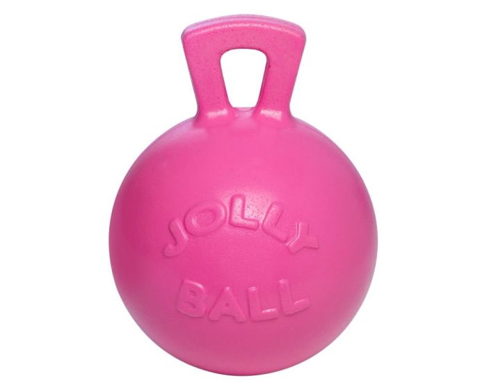 Hofman Play ball Jolly Ball 10 "Pink Bubble Gum main product photo