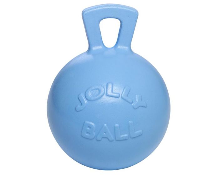 BR Toy Jolly Ball 10 "Aroma de arándanos main product photo
