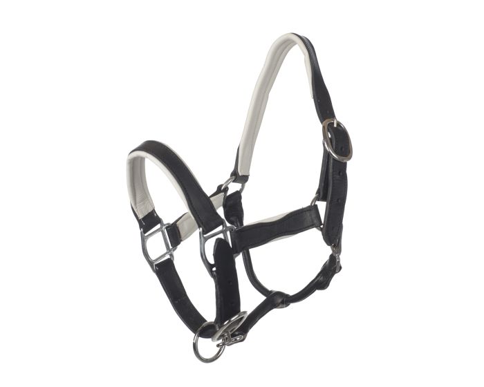 MHS Halter de Cuero "Dos Tonos" main product photo