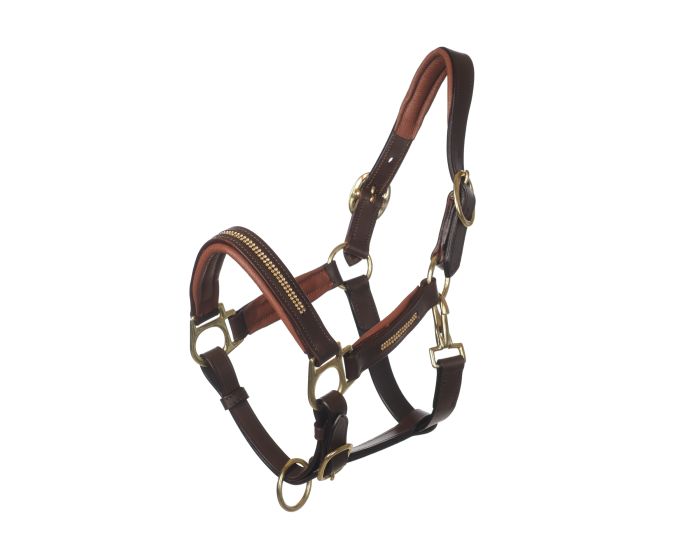 MHS Cabestro de cuero "Bling" main product photo