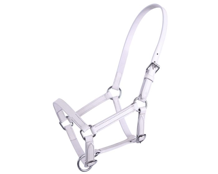 QHP Halter cuero chico main product photo