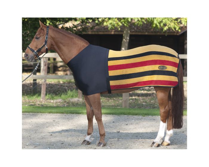 Manta de Riñón Imperial Riding Square New Market- con lycra black / new market main product photo