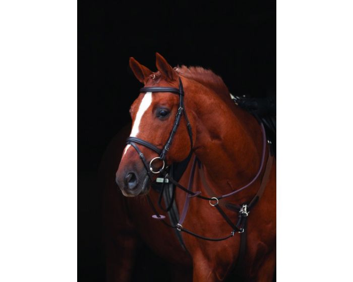 Brida Horseware Amigo main product photo