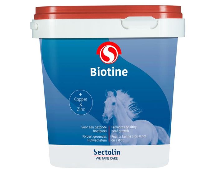 Sectolin Biotina main product photo