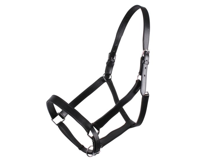 QHP Cabestro de cuero de caballo de tiro main product photo