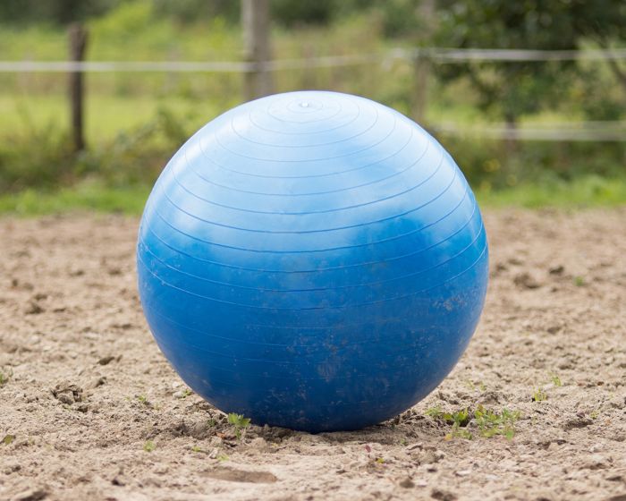 QHP Caballo de Fútbol main product photo