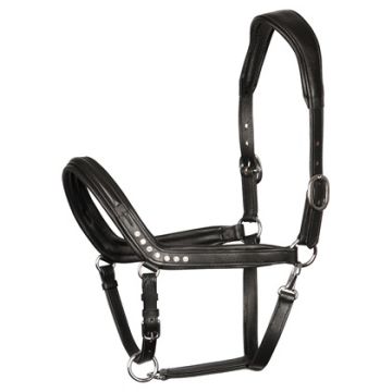 Harry's Horse Cabestro piel Crystal anatomic