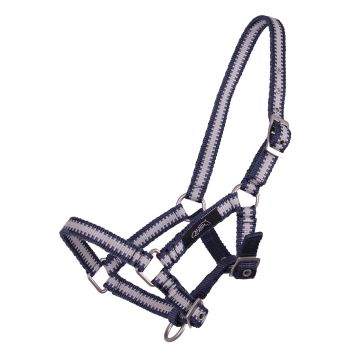 QHP Halter colección de potros