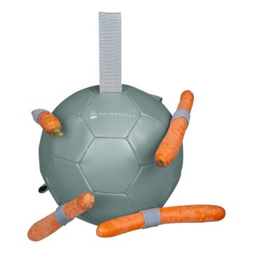 Waldhausen bola de zanahoria
