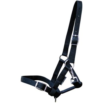 Harry's Horse Potro caballo cabestro Full Veulen Negro