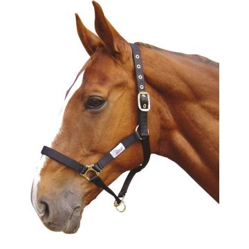 Harry's Horse Controlador de cabestro
