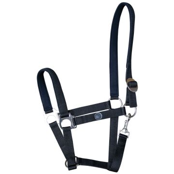 Harry's Horse Cabestro bridoonded Cob Negro