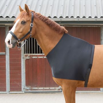 Harry's Horse Protector de pecho lycra S Negro