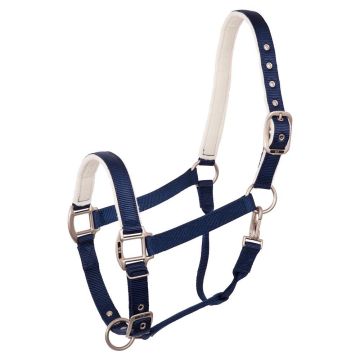 BR Evento cabestro Pony Azul