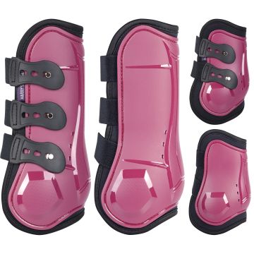 Harry's Horse Conjunto protectores de patas Pozas SU23