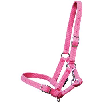 Harry's Horse Potro caballo cabestro Full Veulen Rosado