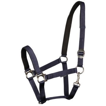 Harry's Horse Cabestro bridoonded Cob Armada