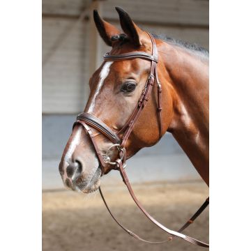 Harry's Horse Brida Suave Pony Marrón