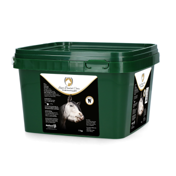 Excellent Balde Equi Dental Care