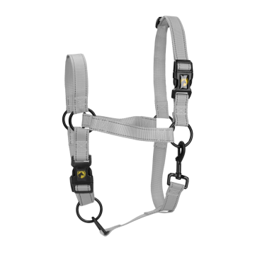 Excellent Cabestro Premium Caballo