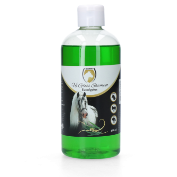 Excellent Champú Hi Gloss Eucalipto