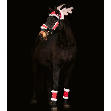 Waldhausen Set navideño para caballos