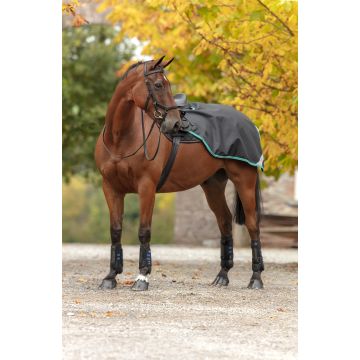 Manta Horseware Amigo Competition