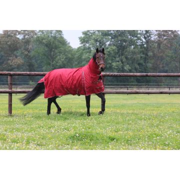 MHS Manta de lluvia "Dream" 100gr cuello fijo 100 Burdeos