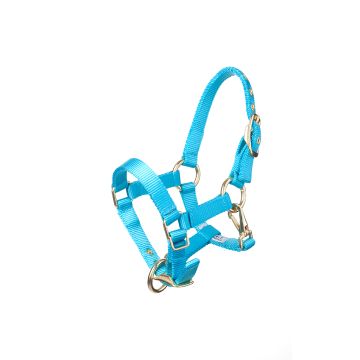 MHS Halter Fancy Aqua Foal