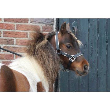 MHS Halter de Cuero "Dos Tonos" Mini Jaarling Negro / Blanco