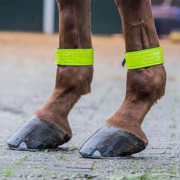 horka CORREAS PARA LAS PIERNAS REFLECTANTES POR PAR