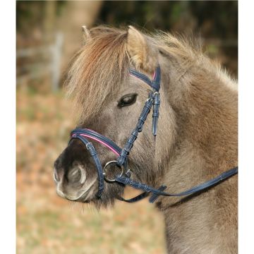 Waldhausen Brida Unicornio 2